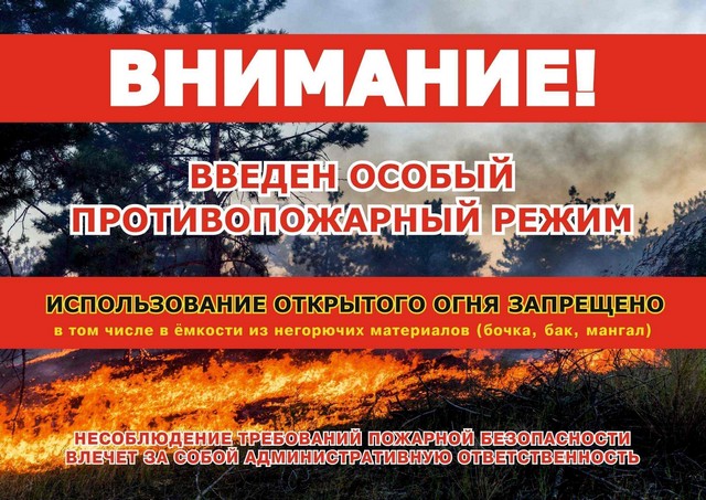 foto 2025 05 13 10 49 001