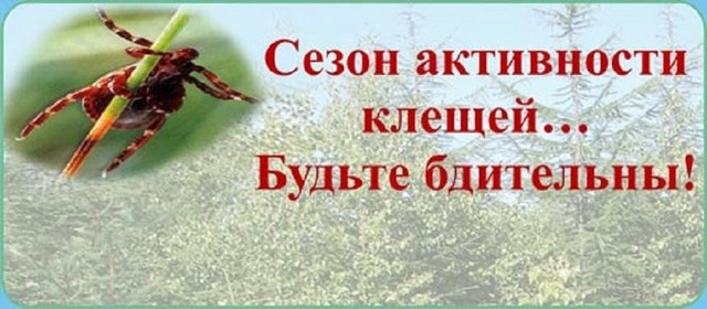 foto 2025 06 27 11 27 001